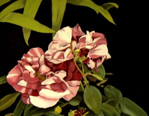 Contemporary fine art by the contemporary artist Ellisa Haldenby represented by The Leith Gallery, a Scottish contemporary art gallery based in Edinburgh, Scotland, UK | Edinburgh Contemporary Art | Scottish Contemporary Art | Contemporary Art Scotland | Edinburgh Art Gallery | Scottish Art Gallery | Art Gallery Scotland | Scottish Art | Scottish Contemporary Art