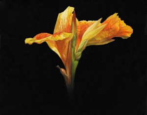 Contemporary fine art by the contemporary artist Lindsay Turk represented by The Leith Gallery, a Scottish contemporary art gallery based in Edinburgh, Scotland, UK | Edinburgh Contemporary Art | Scottish Contemporary Art | Contemporary Art Scotland | Edinburgh Art Gallery | Scottish Art Gallery | Art Gallery Scotland | Scottish Art | Scottish Contemporary Art